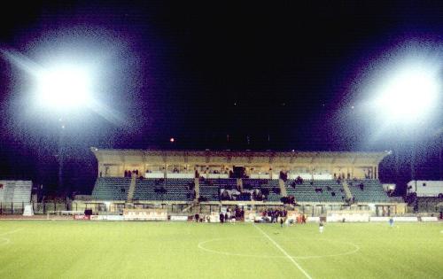 Stadio Artemio Franchi - Tribne